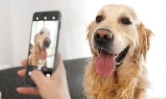 愛犬・愛猫のかわいい写真の撮り方は？おでかけ用や写真映えの犬服＆グッズもご紹介！